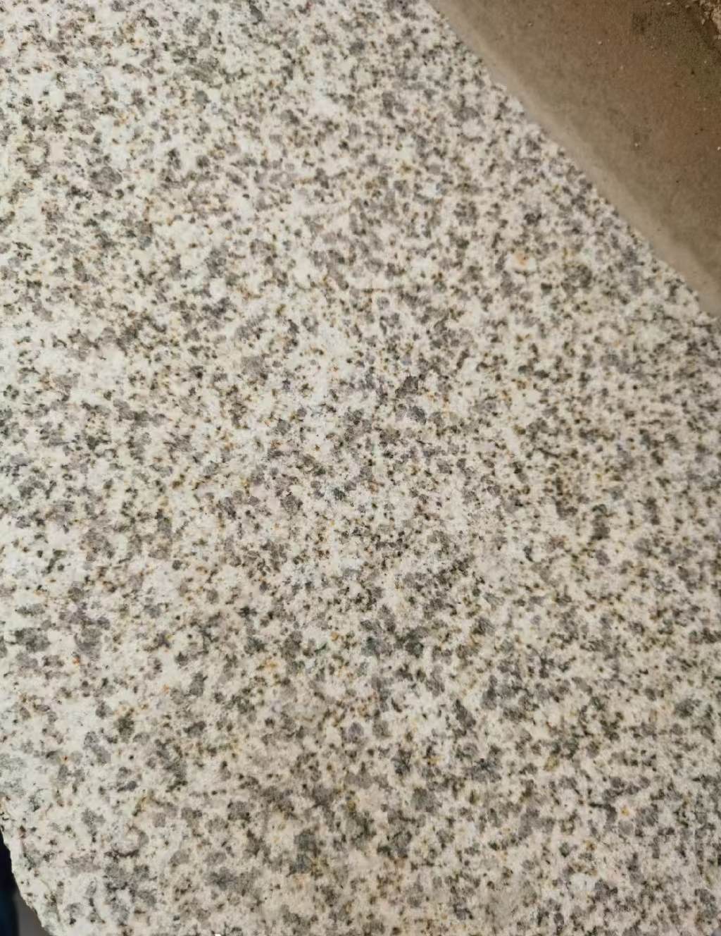 吴忠 黄金麻中黄光面