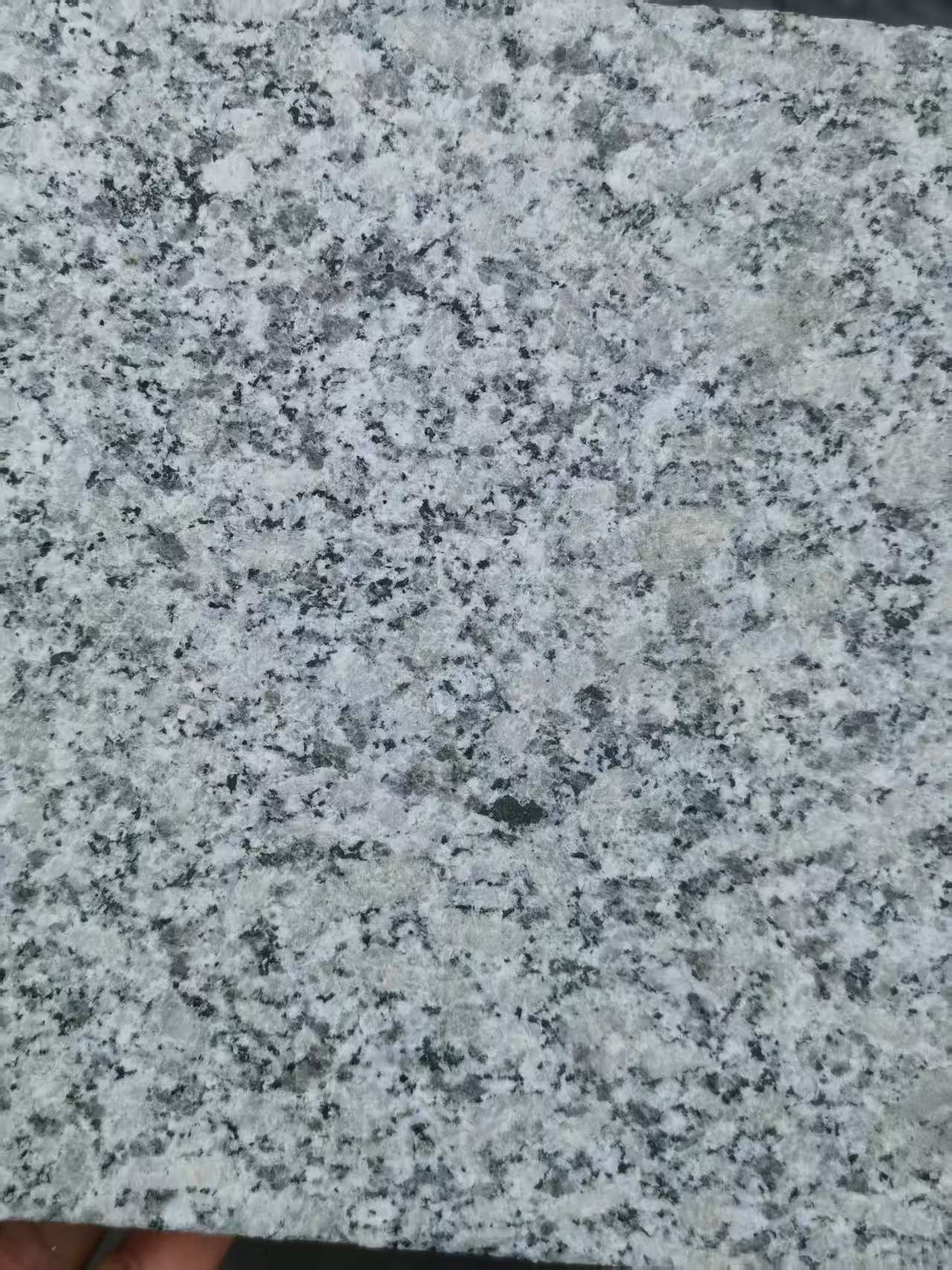 吴忠 芙蓉白火烧面
