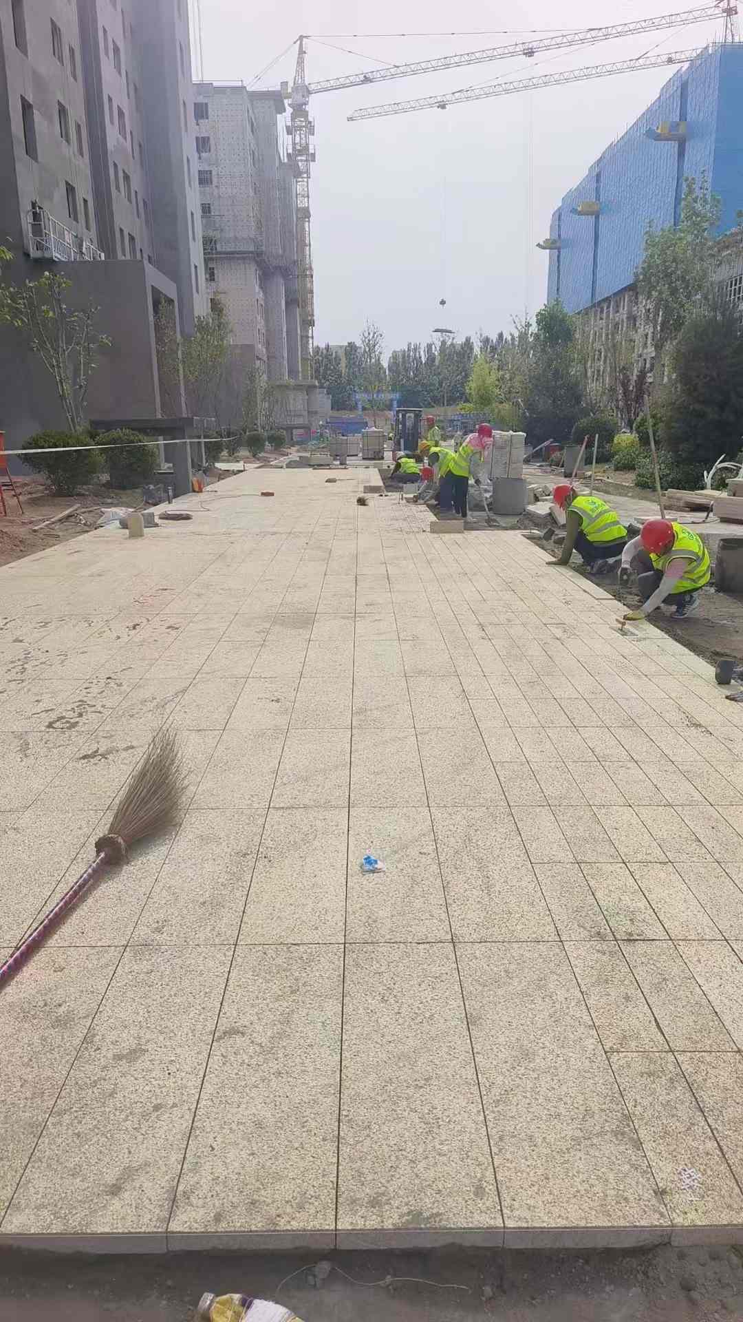 吴忠黄金麻荔枝面地铺案例
