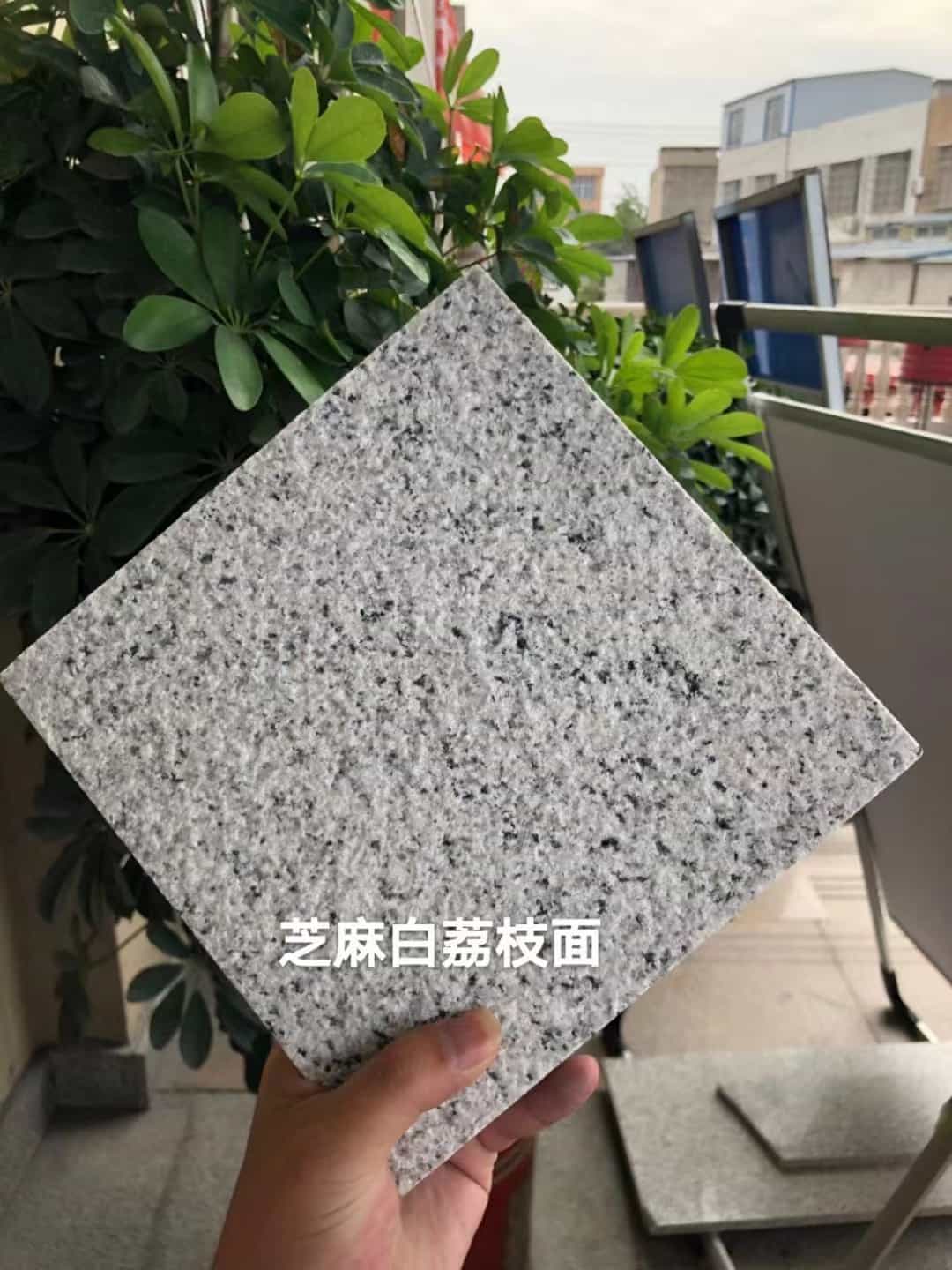 吴忠 芝麻白荔枝面干挂