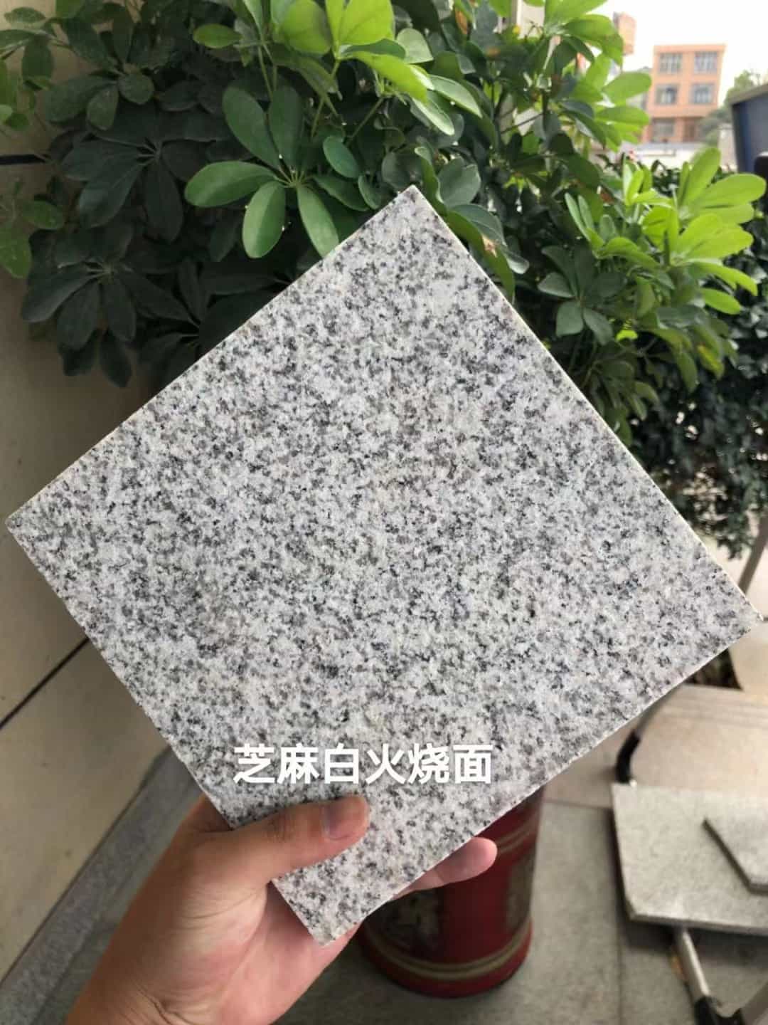 吴忠芝麻白火烧面地铺